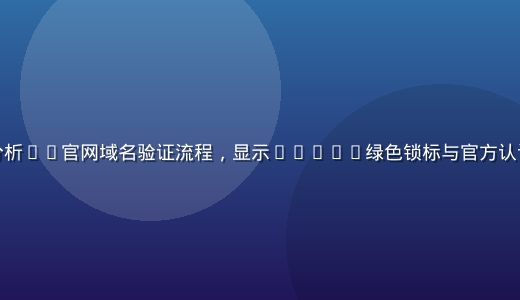 网络安全专家在大屏幕前分析91官网域名验证流程，显示HTTPS绿色锁标与官方认证标识，蓝绿光效专业感强